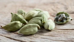 Cardamom (Elettaria Cardamomum) -Sow Exotic Shop 0155d9 9e05baa1e29e47c8b271b41c9f80929b mv2 d 2800 1608 s 2 scaled