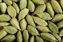 Cardamom (Elettaria Cardamomum) 9 Cardamom (Elettaria Cardamomum) -Sow Exotic Shop 0155d9 bd2e6558ee5a48caa276691abb5c3ead mv2 d 2800 1863 s 2