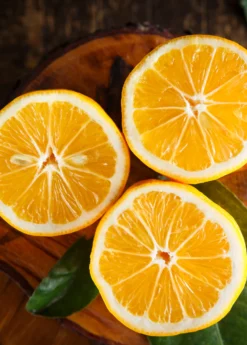 Meyer Lemon (Citrus × Meyeri)