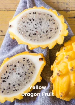 Dragon Fruit Bundle: 'Edgar's Baby' Dragon Fruit & Sweet Yellow Dragon Fruit 5 Dragon Fruit Bundle: 'Edgar's Baby' Dragon Fruit & Sweet Yellow Dragon Fruit -Sow Exotic Shop 1 8