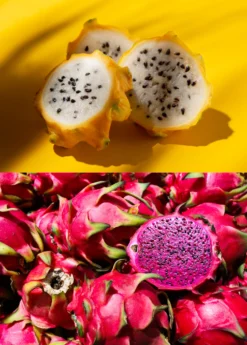 Dragon Fruit Bundle: 'Edgar's Baby' Dragon Fruit & Sweet Yellow Dragon Fruit