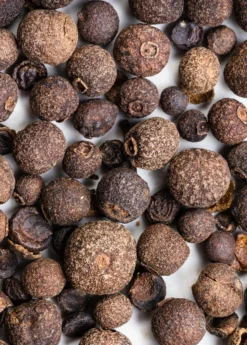 Allspice (Pimenta Dioica) -Sow Exotic Shop Allspice plants for sale SowExotic.com