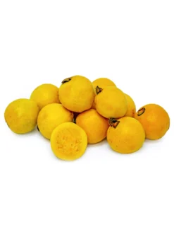 Brazilian Guava (Psidium Angulatum) -Sow Exotic Shop B13F962E 3043 45EA BC21 659242927E40