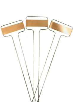 Sow Exotic Shop -Sow Exotic Shop CopperPlantTagGardenMarkersSowExotic