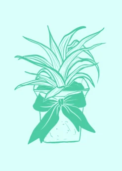 Digital Gift Card -Sow Exotic Shop GiftCardGraphics 1 bf6ca498 460b 41fd bd4a 707ed9e06a12