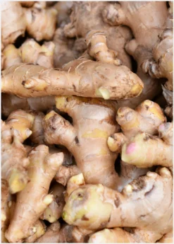 Ginger, Yellow (Zingiber Officinale) 7 Ginger, Yellow (Zingiber Officinale) -Sow Exotic Shop Ginger Roots