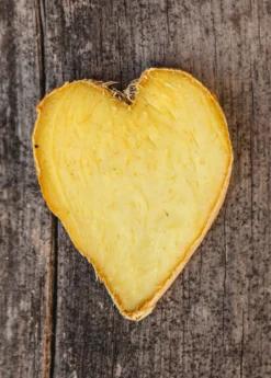 Ginger, Yellow (Zingiber Officinale) 6 Ginger, Yellow (Zingiber Officinale) -Sow Exotic Shop Ginger Zingiber officinale root heart