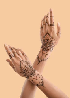 Henna (Lawsonia Inermis) -Sow Exotic Shop Henna Lawsoniainermis PlantsforSale SowExotic.com Eugeniareinwardtiana 3