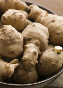 Jerusalem Artichoke (Helianthus Tubersosus) -Sow Exotic Shop Jerusalemartichokeplantforsalesowexoticnursery 1