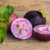Purple Caimito, Star Apple (Chrysophyllum Cainito)