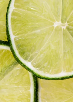 Key Lime (Citrus × Aurantiifolia) -Sow Exotic Shop Sow Exotic Plant Nursery key lime 1