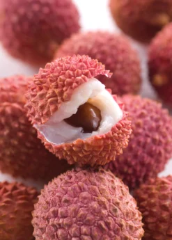 Lychee 'Brewster' (Litchi Chinensis) -Sow Exotic Shop Sow Exotic Plant Nursery lychee 1