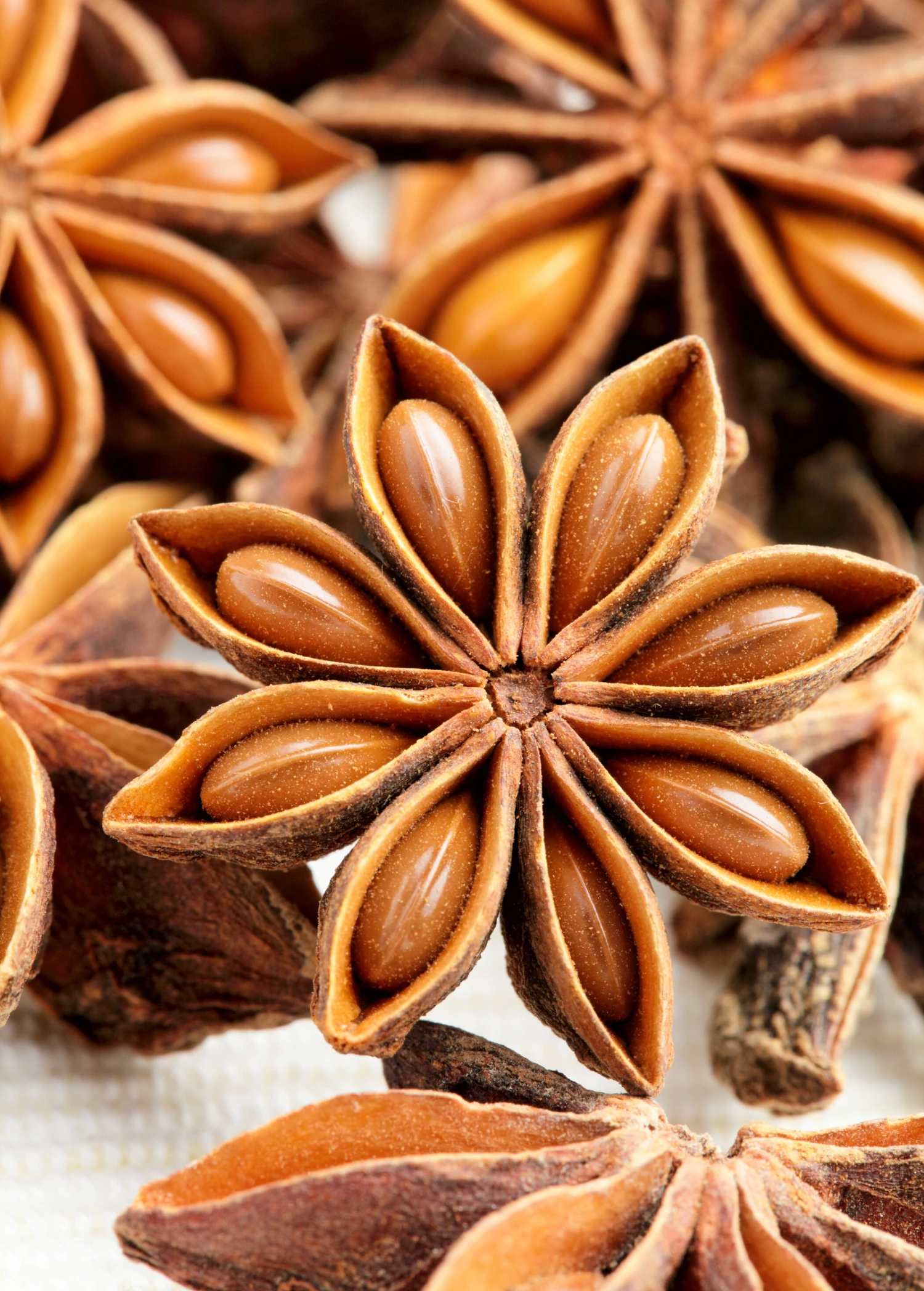 Star Anise (Illicium Verum) 2 Star Anise (Illicium Verum) - Image 2