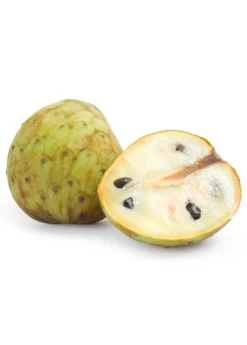 Cherimoya (Annona Cherimola) -Sow Exotic Shop cherimoyasowexotic