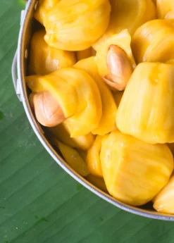 Jackfruit 'Crunchy' (Artocarpus Heterophyllus) -Sow Exotic Shop crunchjackfruitfruittreeliveplantforsalesowexotic