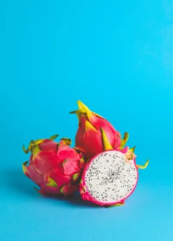 Dragon Fruit, White 'Vietnamese Jaina' (Hylocereus Undatus) -Sow Exotic Shop dragonfruitpitayasowexotic