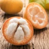 Santol (Sandoricum Koetjape)
