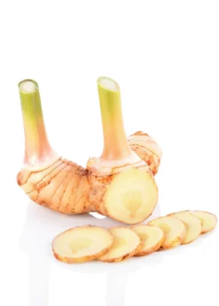Greater Galangal (Alpinia Galanga) -Sow Exotic Shop galangal root cut