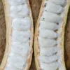 Ice Cream Bean (Inga Edulis)