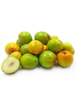Indian Jujube (Ziziphus Mauritiana)
