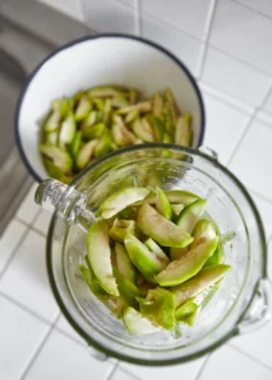 June Plum (Spondias Dulcis) -Sow Exotic Shop juneplymsowexotic 3