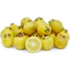 Guava, Lemon (Psidium Littorale)