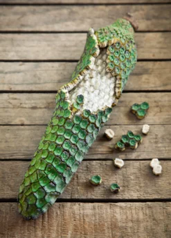 Monstera Deliciosa, Swiss Cheese Plant -Sow Exotic Shop monsteraplantforsalesowexotic