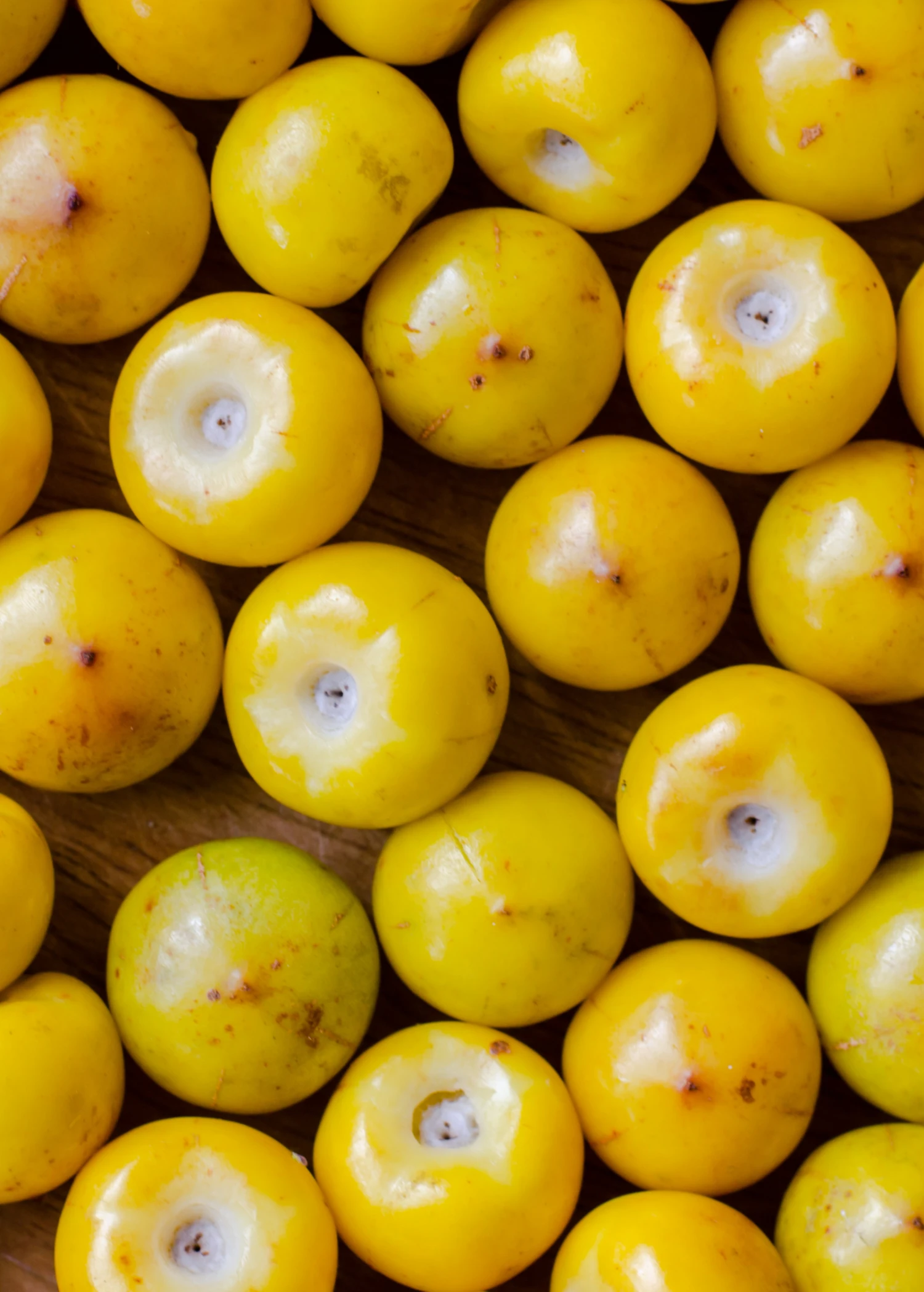 Nance (Byrsonima Crassifolia) 3 Nance (Byrsonima Crassifolia) - Image 3