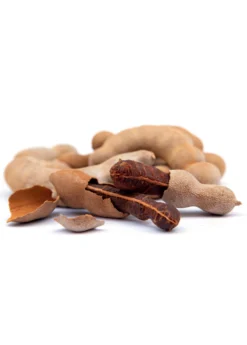 Tamarind (Tamarindus Indica) -Sow Exotic Shop sweetthaitamarindsowexotic