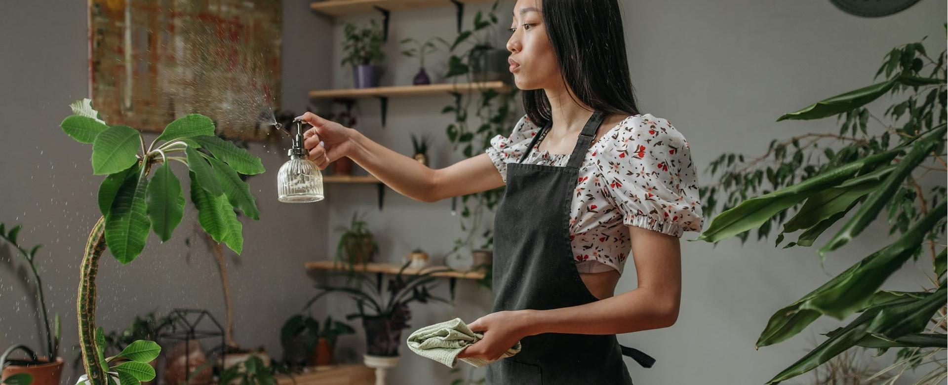 Sow Exotic Shop -Sow Exotic Shop pexels rocketmann prod 9507280